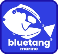 bluetangmarine bluetangmarine